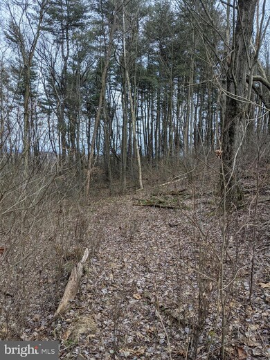 0 Campbell Dr, Newport, PA 17074 - photo 7