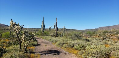 Miles of Biking ans Hiking Trails