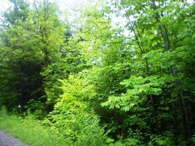 Land/Lot.