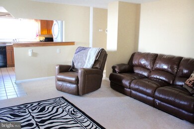 2434 Alma Rd, Halethorpe, MD 21227 - photo 3