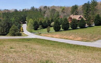 Additional View