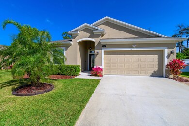 Tropical Landscaping