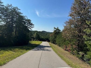 114 Blackhawk Ln, Turtletown, TN 37391 - photo 2