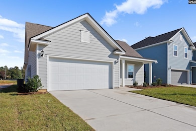 129 Monroe Preserve Dr, Chapin, SC 29036 - photo 2