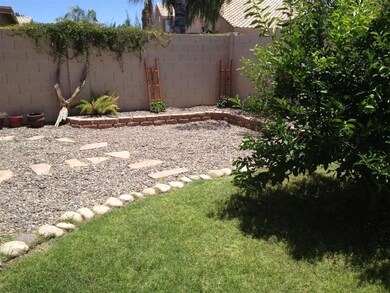 Backyard2