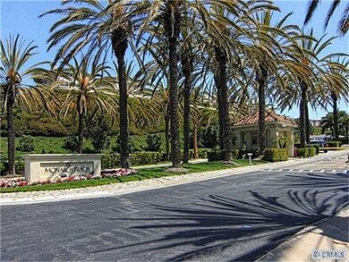 STATELY PALM ENTRANCE ON NIGUEL ROAD