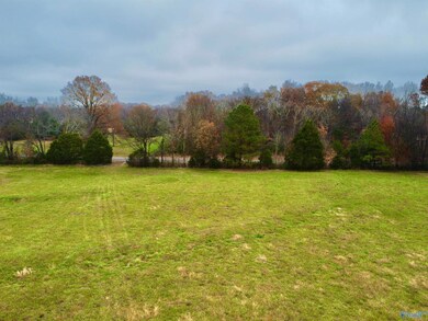 Tract 3 County Road 89, Anderson, AL 35610 - photo 6