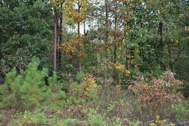 Lot 3 Hickory Ln, Hammondville, AL 35989 - photo 4