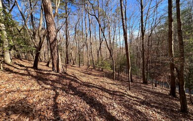 2721 Mooring Dr, Ellijay, GA 30540 - photo 4