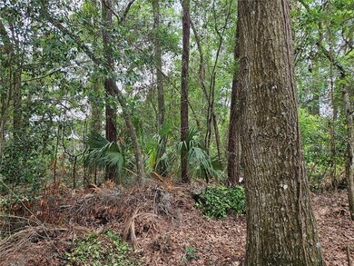 TBD SW 194th Ct unit LOT 37, Dunnellon, FL 34432 - photo 4