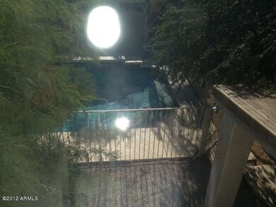 photo 3 (3)