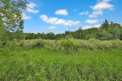 374xx-N40 Hemingway Ave, North Branch, MN 55056 - photo 3