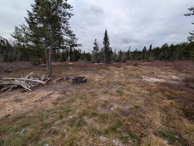 VL Slough Lake Rd, Forsyth Township, MI 49841 - photo 6