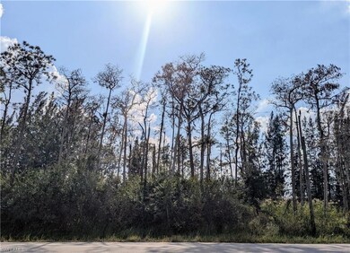 207 Ocean Park Dr, Lehigh Acres, FL 33972 - photo 5