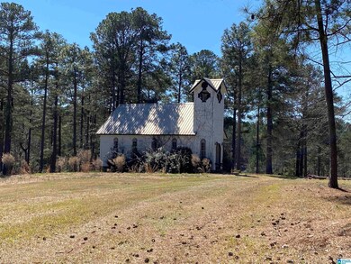 991 Shore Side Ln, Sylacauga, AL 35151 - photo 5