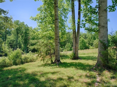 1063 Firehouse Dr, Louisa, VA 23093 - photo 4