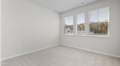 3709 Nova Star Ln unit Grady, Raleigh, NC 27612 - photo 6