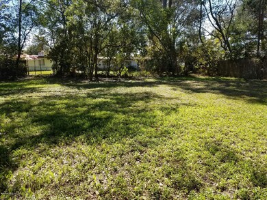 8606 Mathonia Ave, Jacksonville, FL 32211 - photo 3