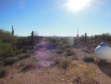 Back yard/valley view