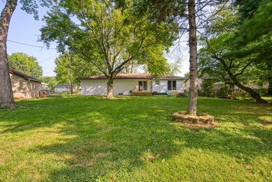 Backyard 3