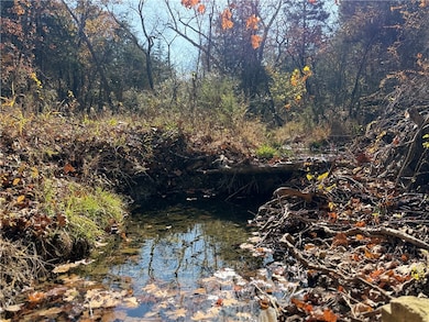 0 Owens Ln, Peel, AR 72668 - photo 4