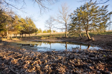 000-A Chadwick Rd, Chadwick, MO 65629 - photo 4