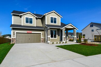 307 Balmer St SW, Orting, WA 98360 - photo 4