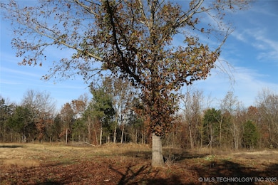 0 Poteau Mountain Rd, Monroe, OK 74947 - photo 5