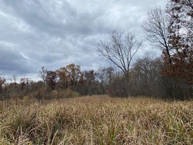 40 Acres Dragonfly Rd, Tomah, WI 54660 - photo 5