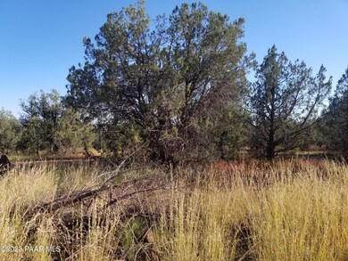 197bcd Off Indigo Way, Ash Fork, AZ 86320 - photo 5