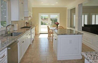 Massive Chef's Dream kitchen completely remodeled 