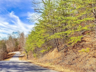 0 Wildcat Hollow Rd unit 25658914, New Tazewell, TN 37825 - photo 6