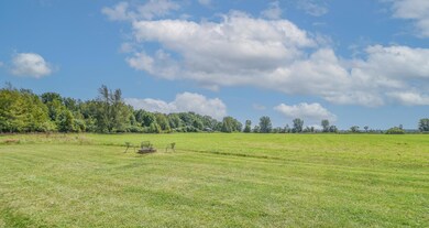 DSC_0221-Edit