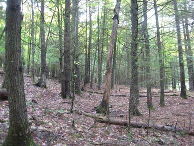 23 Wetherbee Rd, Lyman, NH 03585 - photo 4