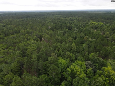 1409 Robinson Town Rd unit 6, Cassatt, SC 29032 - photo 6