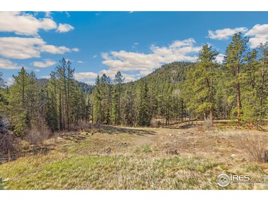 755 Fox Creek Rd, Glen Haven, CO 80532 - photo 6