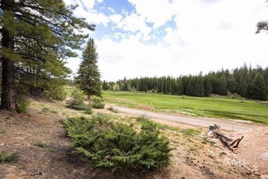 View of Meadow