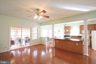 307 Mt Pleasant Dr, Locust Grove, VA 22508 - photo 5