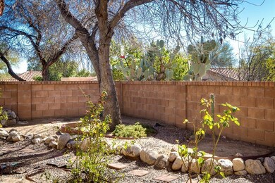 Back garden