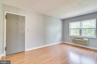 2305 Farrington Ave unit 301, Alexandria, VA 22303 - photo 4