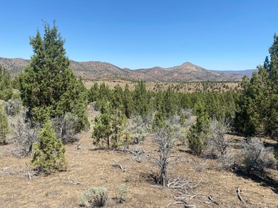 IMG_2533
