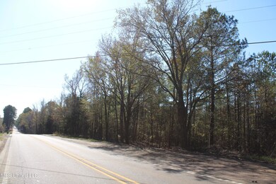 5123 Highway 51 S, Hernando, MS 38632 - photo 6