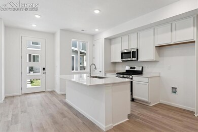 2450 Serviceberry Grove, Colorado Springs, CO 80915 - photo 3