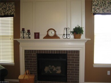 Beautiful Gas Fireplace in Family Room