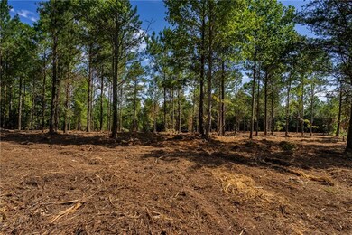 Lot 5 Young Loop, Fairmount, GA 30139 - photo 4