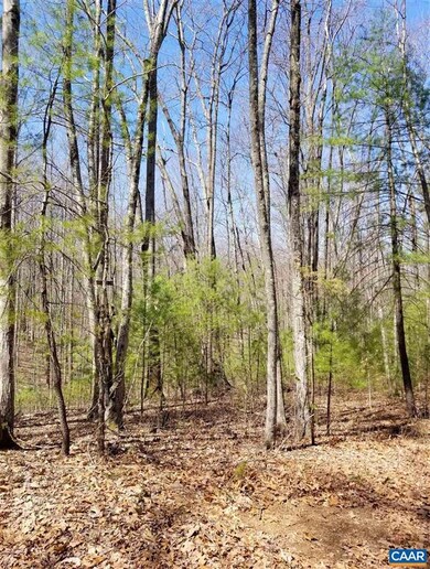 0 High Rd unit 615449, Stanardsville, VA 22973 - photo 4