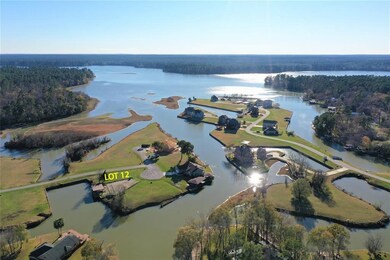 LOT 12 Peninsula Point, Huntsville, TX 77340 - photo 6