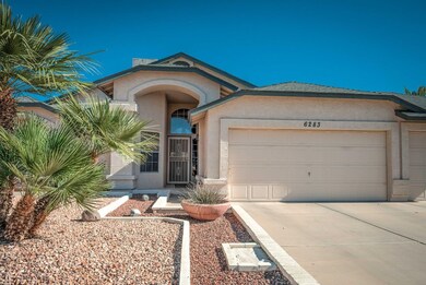 Desert Landscaping