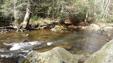 0 Whites Creek Rd unit 8-7993, Unamis, PA 15424 - photo 5