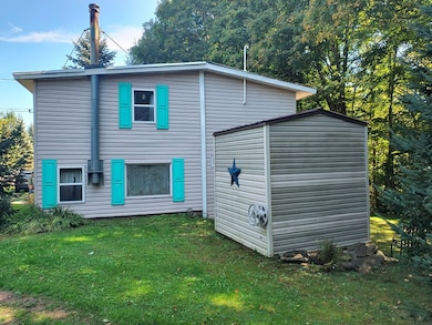 437 French Rooney Rd, Genesee, PA 16923 - photo 3